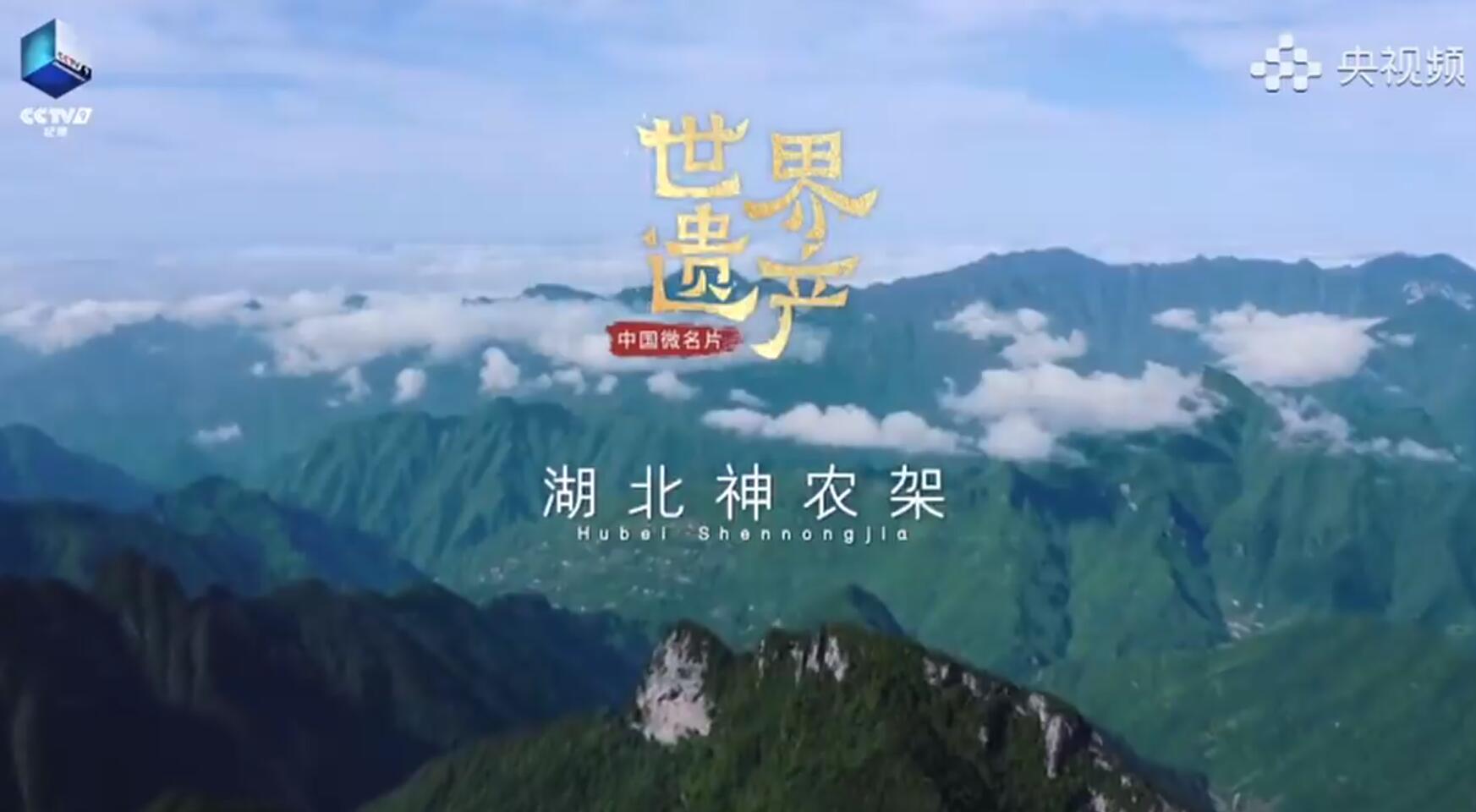 《中国微名片·世界遗产》——湖北神农架
