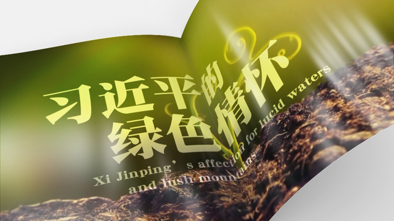 全球连线 | 习近平的绿色情怀